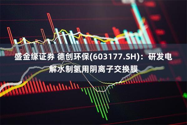盛金缘证券 德创环保(603177.SH)：研发电解水制氢用阴离子交换膜