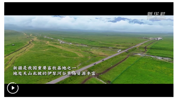 汇银配资 沉浸式体验新疆那拉提牧民夏季转场_大皖新闻 | 安徽网
