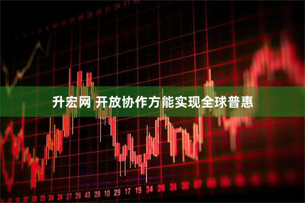 升宏网 开放协作方能实现全球普惠