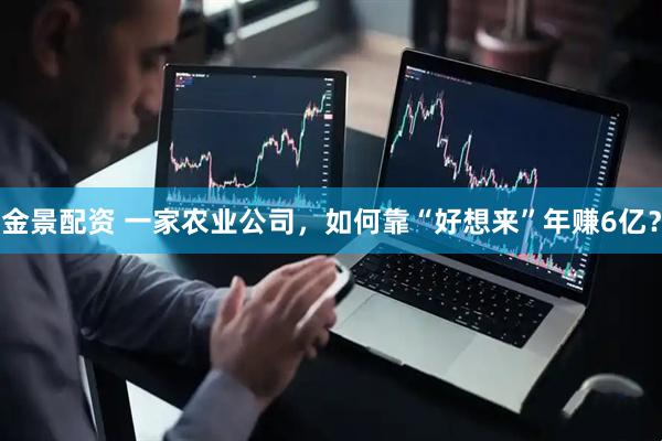金景配资 一家农业公司，如何靠“好想来”年赚6亿？
